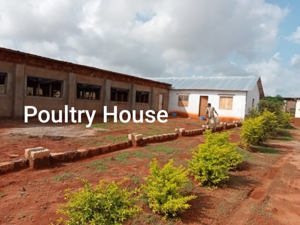 Poultry Farm in Baolala For Sale on 2.4 Acres