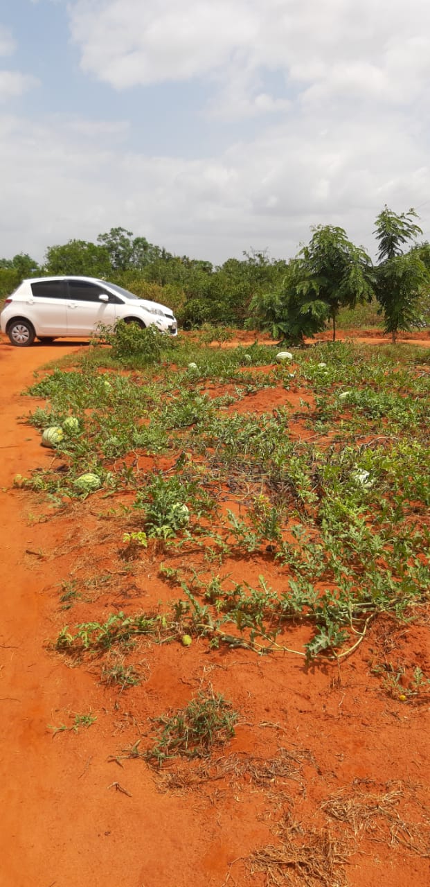 Poultry Farm in Baolala For Sale on 2.4 Acres