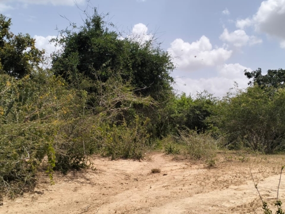 180-acre agricultural land with a seasonal river for sale in Mulunguni–Marafa, Kilifi County.