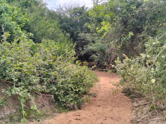 180-acre agricultural land with a seasonal river for sale in Mulunguni–Marafa, Kilifi County.