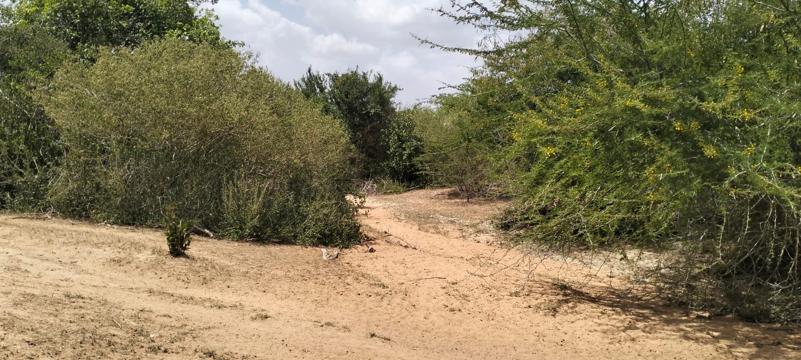 180-acre agricultural land with a seasonal river for sale in Mulunguni–Marafa, Kilifi County.