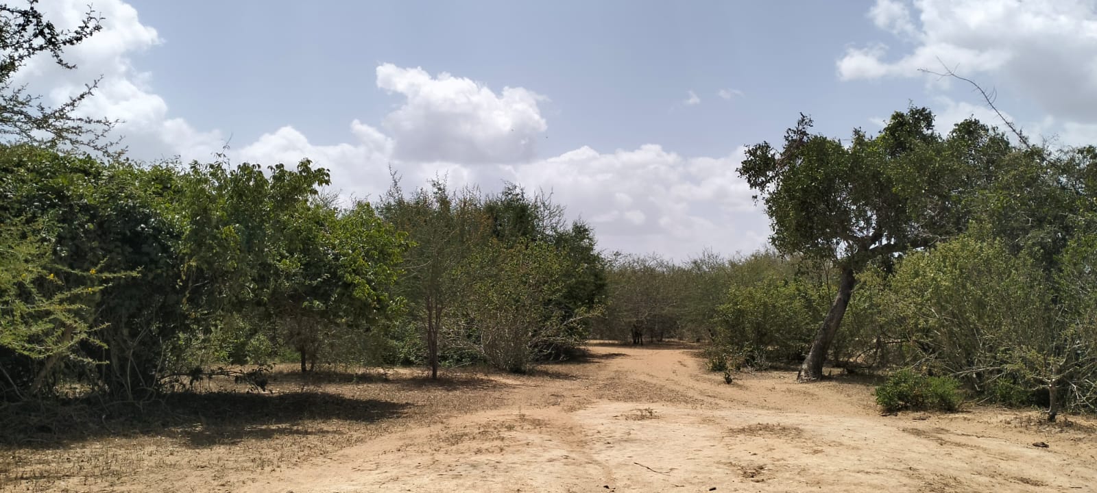 180-acre agricultural land with a seasonal river for sale in Mulunguni–Marafa, Kilifi County.