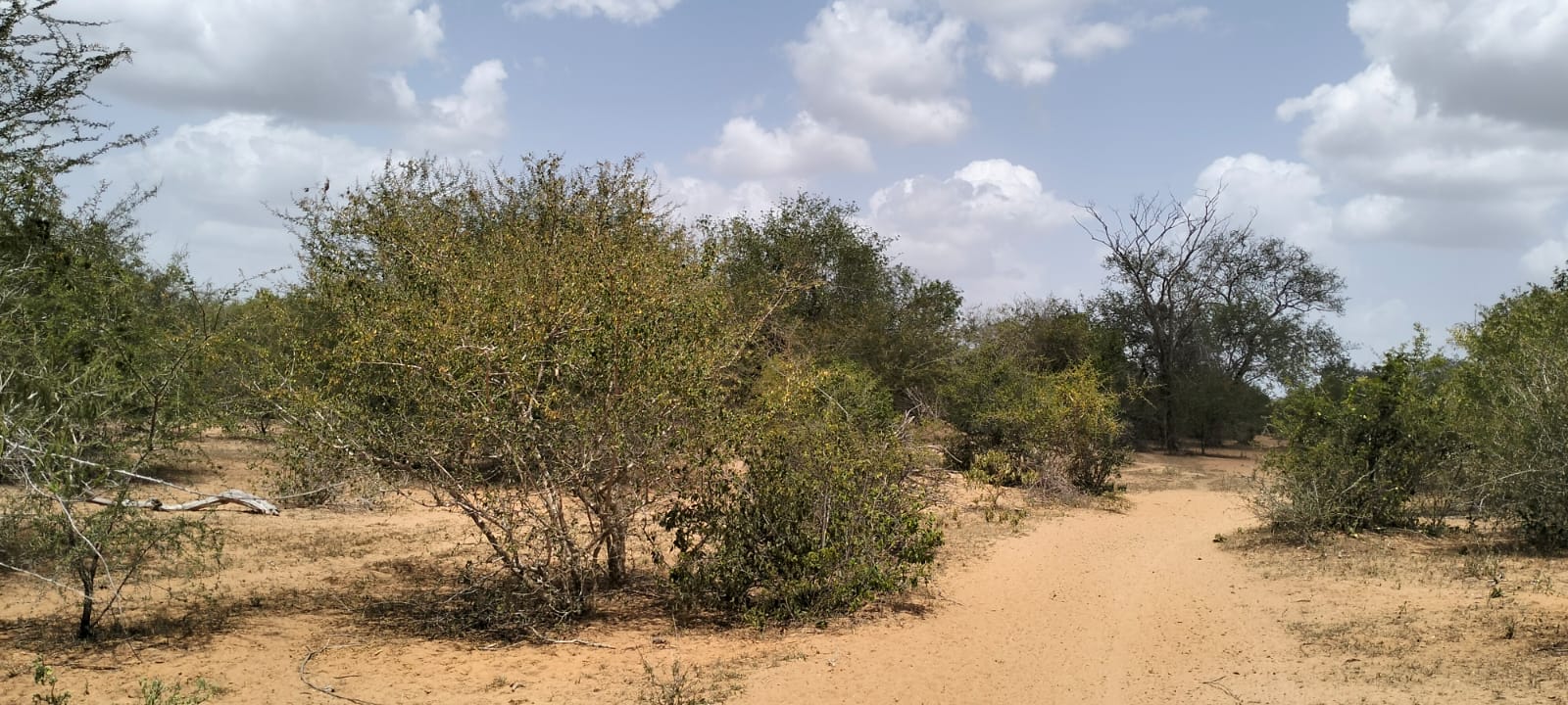 180-acre agricultural land with a seasonal river for sale in Mulunguni–Marafa, Kilifi County.