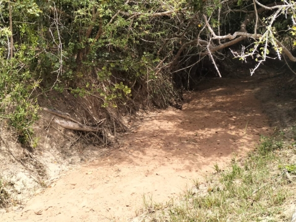 180-acre agricultural land with a seasonal river for sale in Mulunguni–Marafa, Kilifi County.