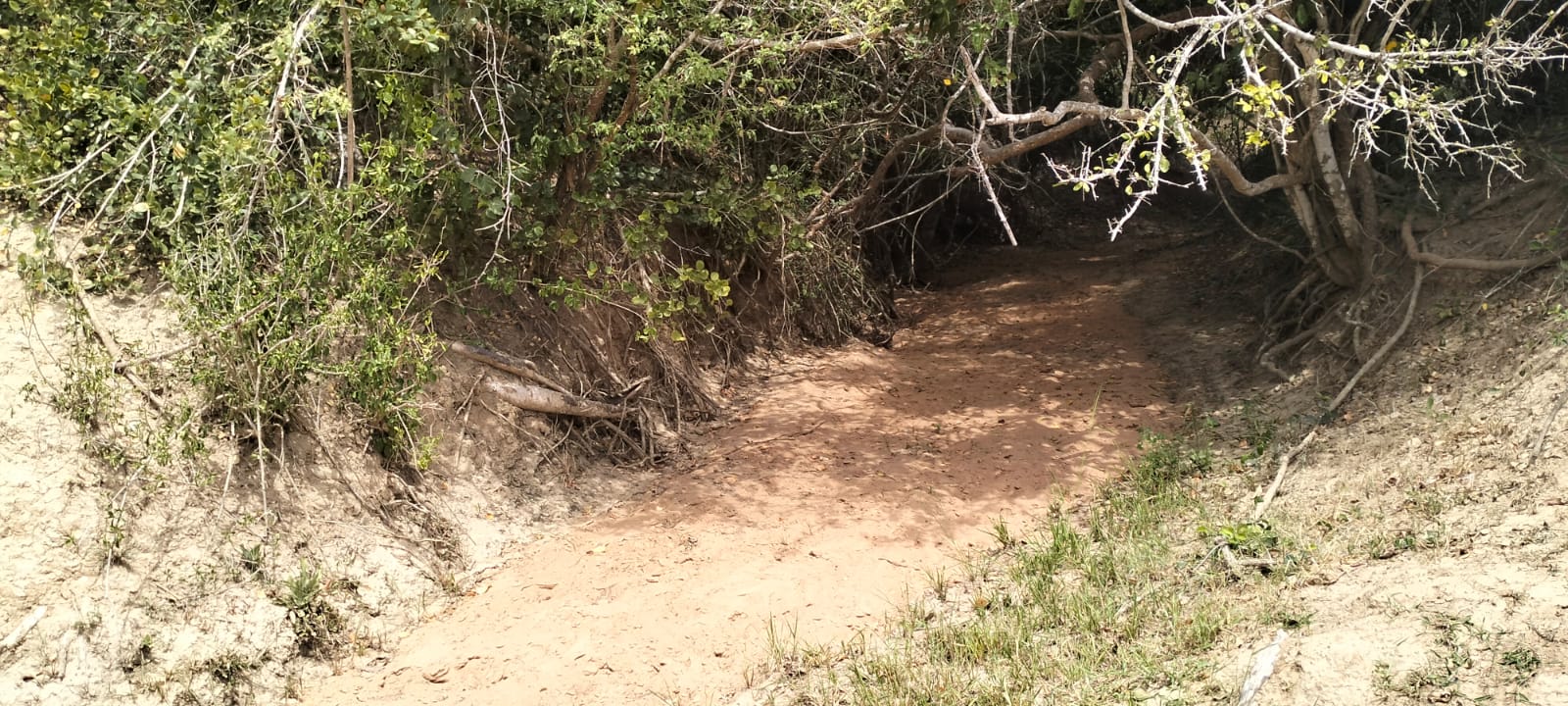 180-acre agricultural land with a seasonal river for sale in Mulunguni–Marafa, Kilifi County.
