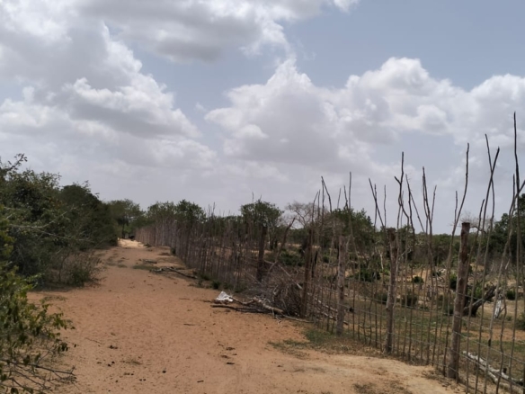 180-acre agricultural land with a seasonal river for sale in Mulunguni–Marafa, Kilifi County.