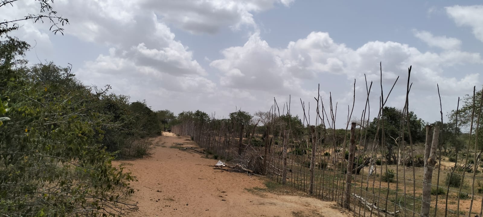 180-acre agricultural land with a seasonal river for sale in Mulunguni–Marafa, Kilifi County.