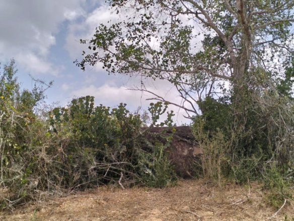 180-acre agricultural land with a seasonal river for sale in Mulunguni–Marafa, Kilifi County.