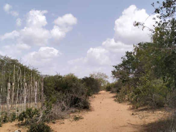 180-acre agricultural land with a seasonal river for sale in Mulunguni–Marafa, Kilifi County.