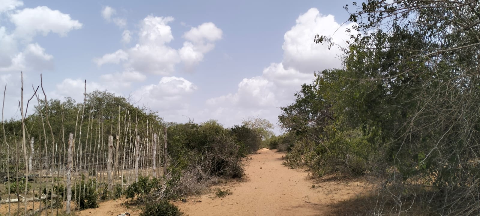180-acre agricultural land with a seasonal river for sale in Mulunguni–Marafa, Kilifi County.