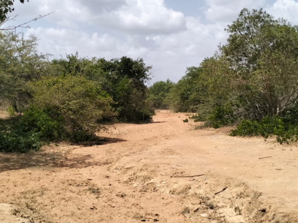 180-acre agricultural land with a seasonal river for sale in Mulunguni–Marafa, Kilifi County.
