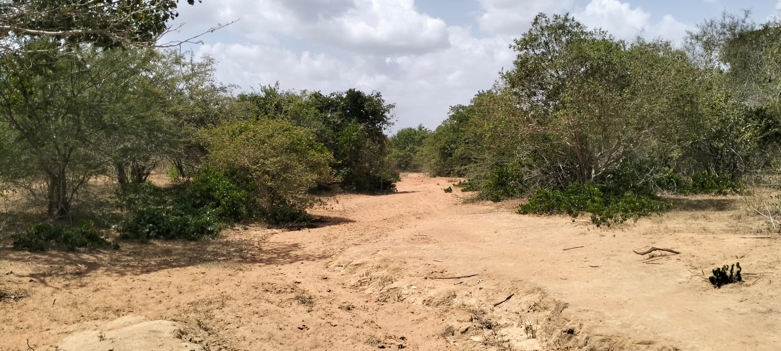 180-acre agricultural land with a seasonal river for sale in Mulunguni–Marafa, Kilifi County.