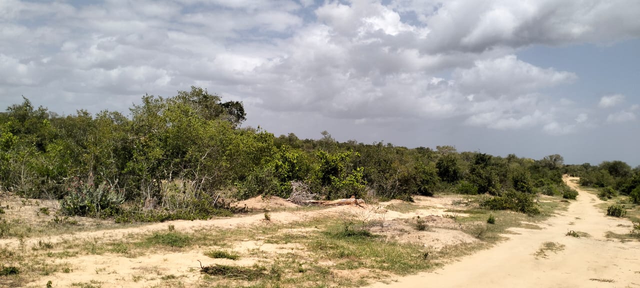 50-acre agricultural land for sale in Boyani, Baricho, located 300 meters from the tarmac road.