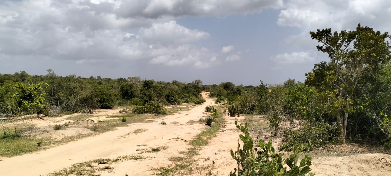 50-acre agricultural land for sale in Boyani, Baricho, located 300 meters from the tarmac road.