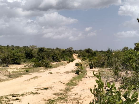 50-acre agricultural land for sale in Boyani, Baricho, located 300 meters from the tarmac road.