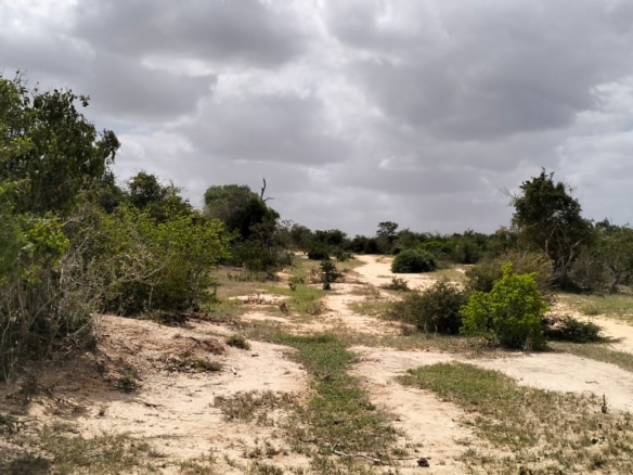 50-acre agricultural land for sale in Boyani, Baricho, located 300 meters from the tarmac road.