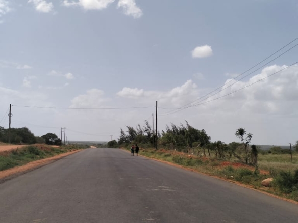 50-acre agricultural land for sale in Boyani, Baricho, located 300 meters from the tarmac road.