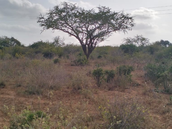 4 acres of prime land for sale in Baolala at 400k per acre – ideal for investment and development