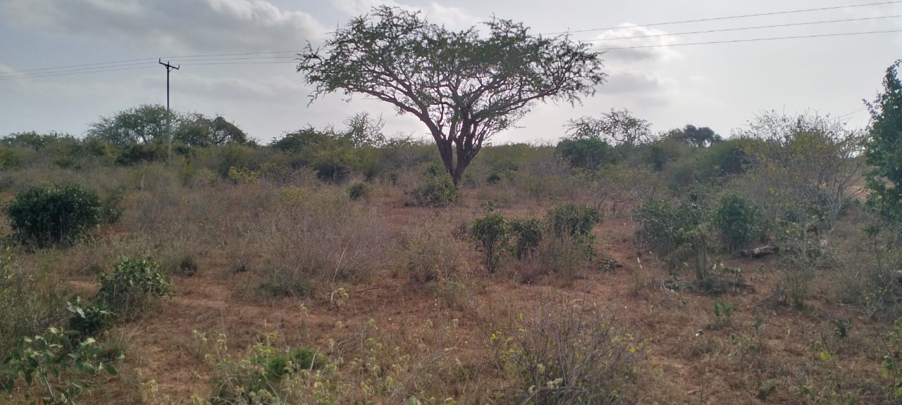 4 acres of prime land for sale in Baolala at 400k per acre – ideal for investment and development