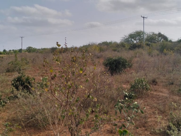 4 acres of prime land for sale in Baolala at 400k per acre – ideal for investment and development