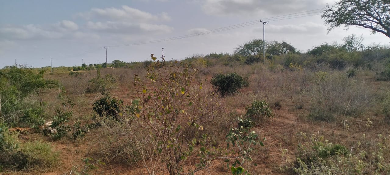 4 acres of prime land for sale in Baolala at 400k per acre – ideal for investment and development