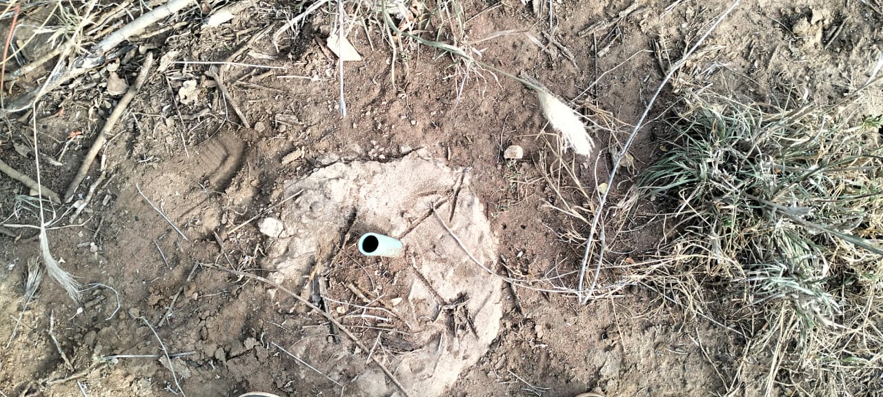 6 acres of prime land for sale in Jilore at 350k per acre – ideal for investment and development