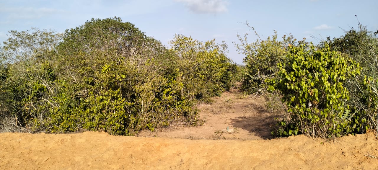 6 acres of prime land for sale in Jilore at 350k per acre – ideal for investment and development