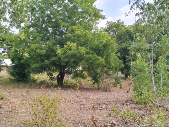 Quarter acre plot for sale in Gede with power, water, ready title deed, and close to tarmac