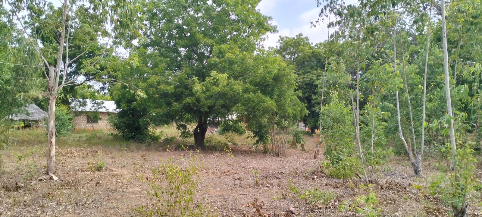 Quarter acre plot for sale in Gede with power, water, ready title deed, and close to tarmac