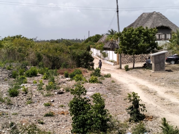 Prime quarter-acre plot for sale behind Watamu Snake Park, ideal for residential or investment development.