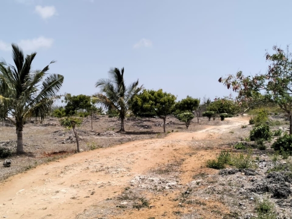 Prime quarter-acre plot for sale behind Watamu Snake Park, ideal for residential or investment development.