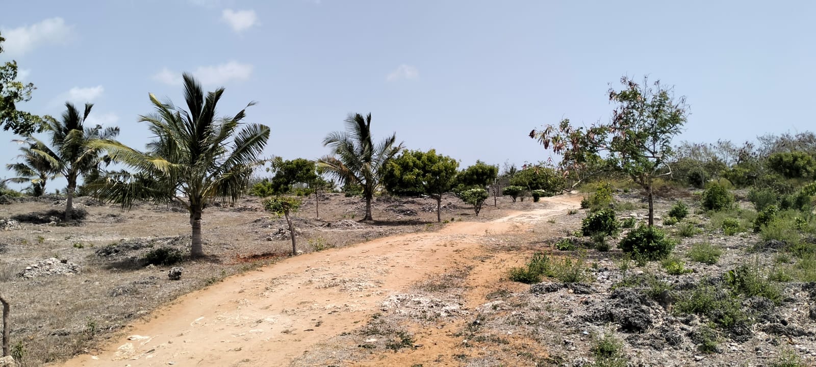 Prime quarter-acre plot for sale behind Watamu Snake Park, ideal for residential or investment development.