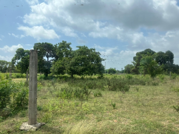 P.K Gardens Estate Resdential plots for sale in Malindi