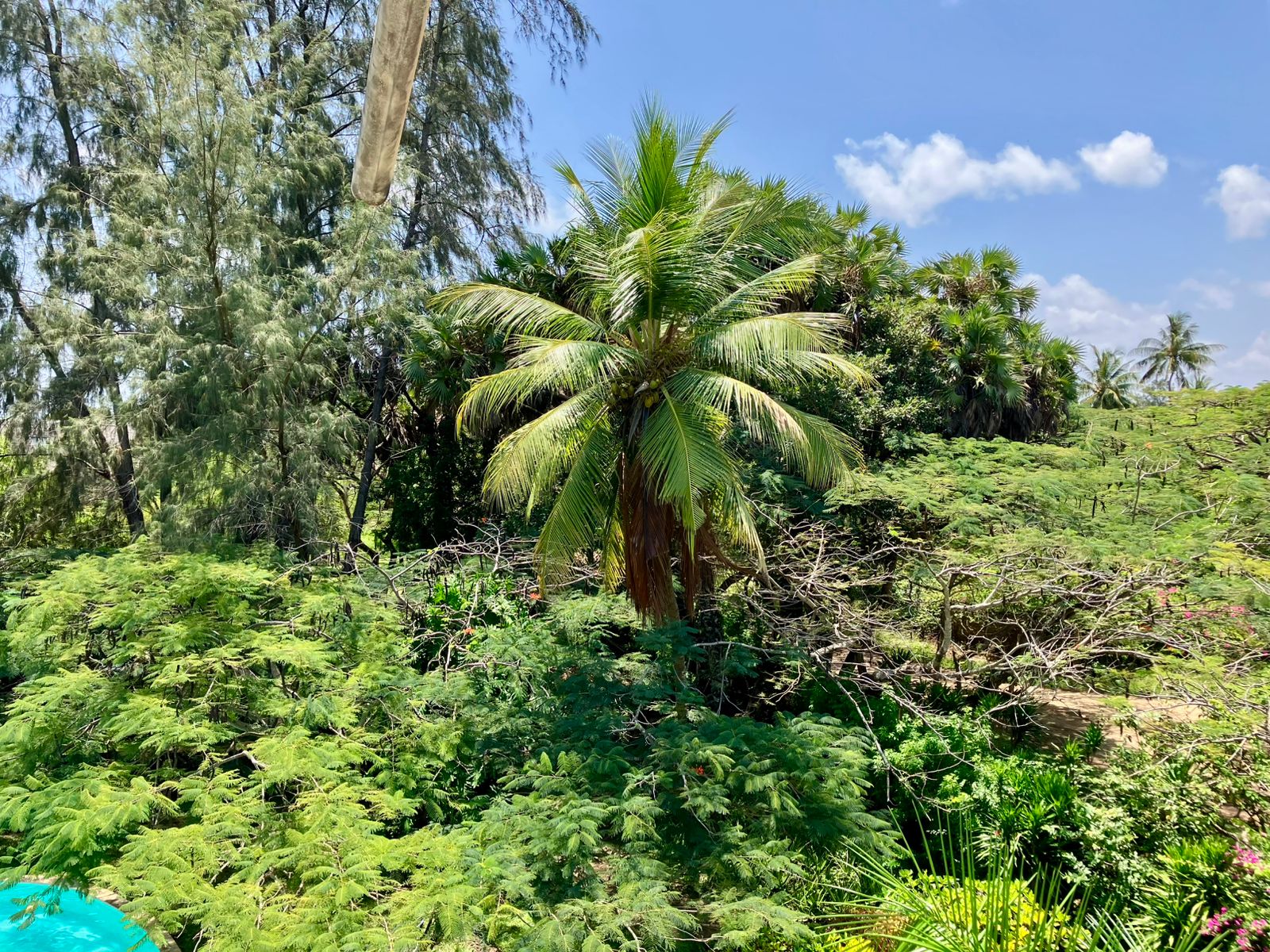 Sally Furnished Apartments Malindi