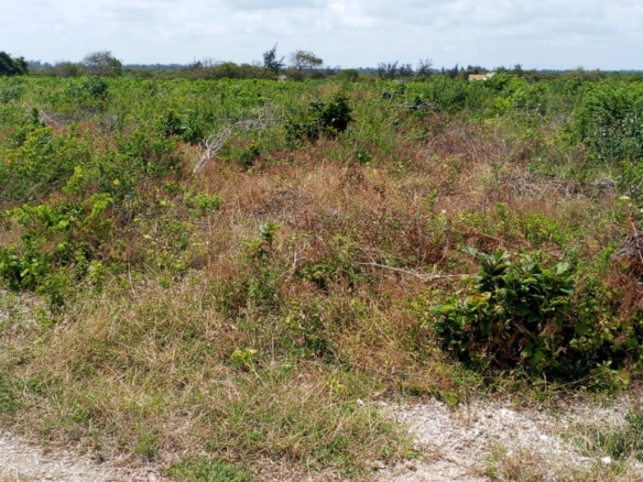 13 Acres for sale in Watamu, Jacaranda