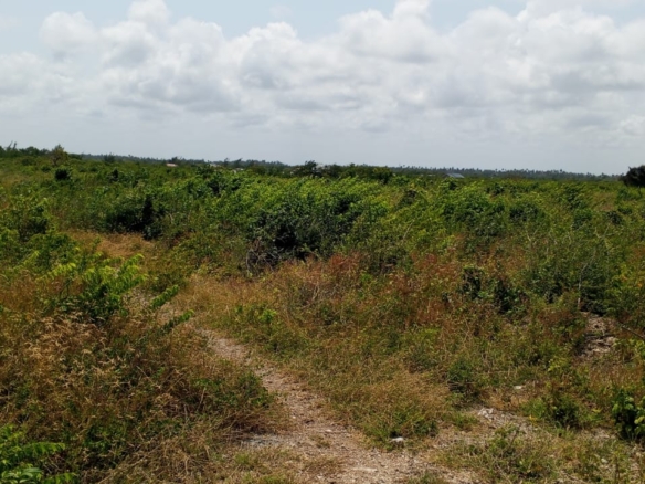 13 Acres for sale in Watamu, Jacaranda