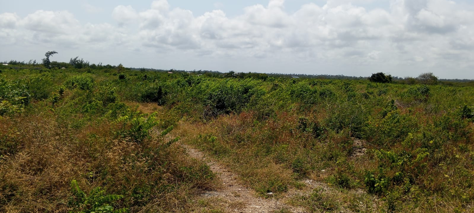 13 Acres for sale in Watamu, Jacaranda