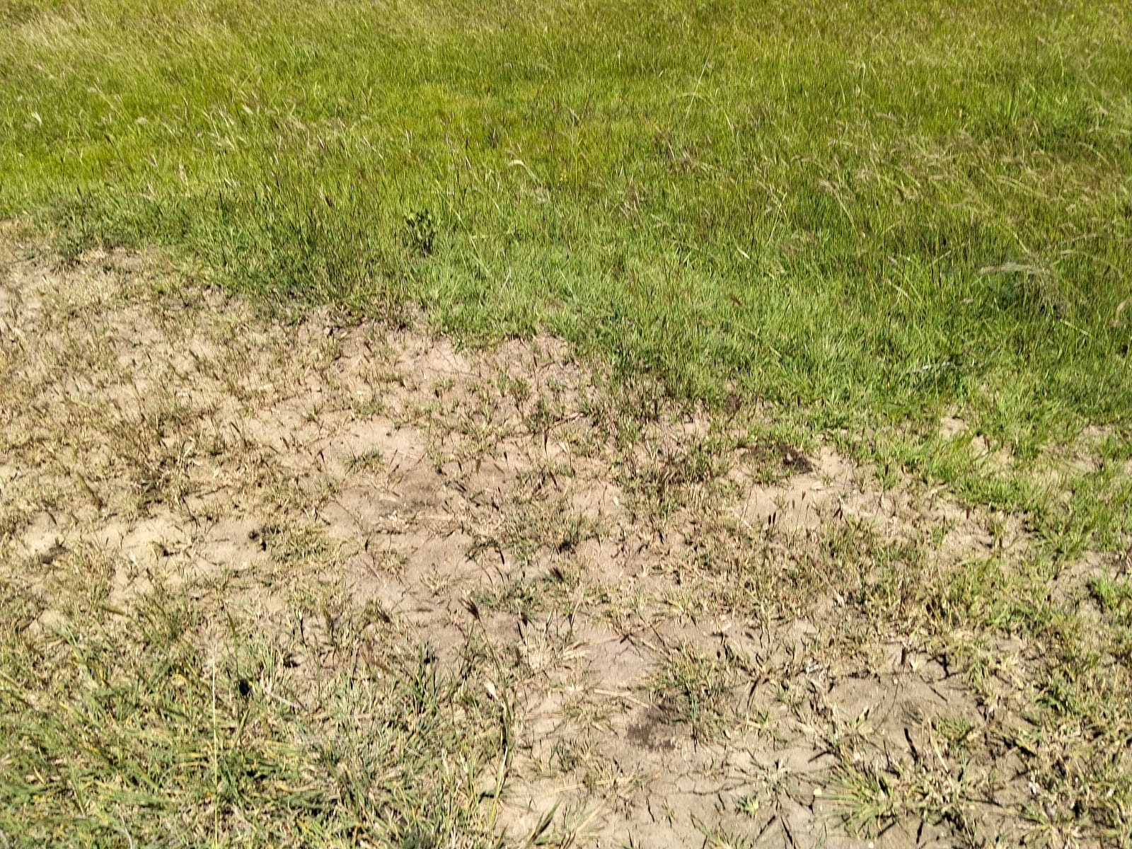 400 Acres for saleon Mombasa road, Emali