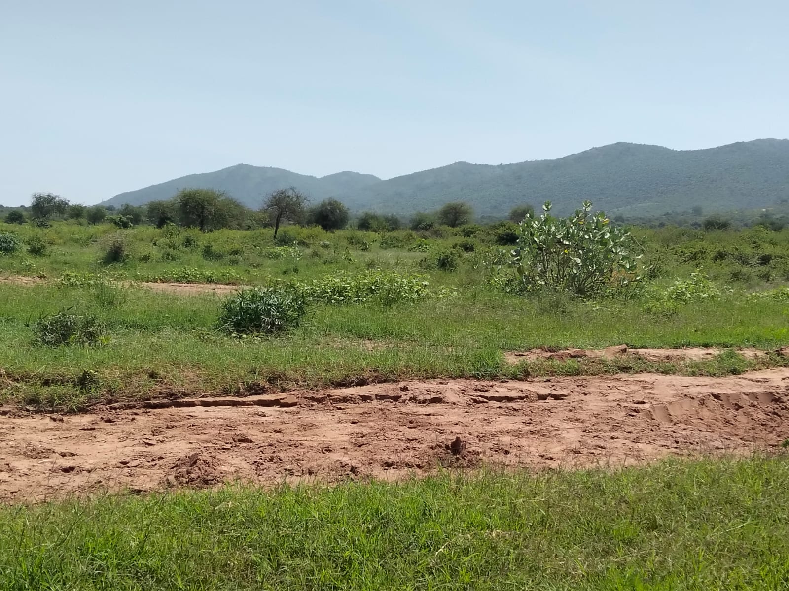 400 Acres for saleon Mombasa road, Emali