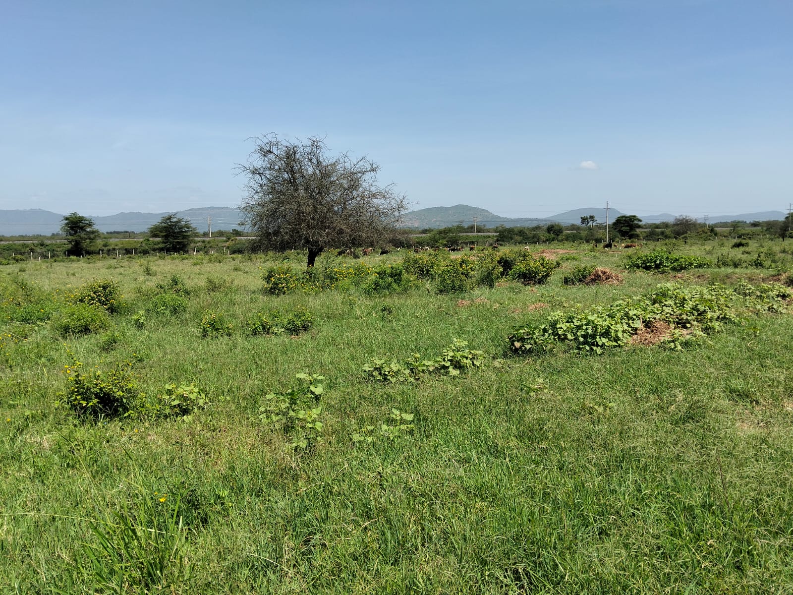 400 Acres for saleon Mombasa road, Emali