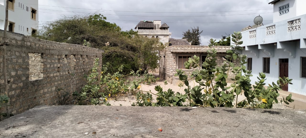 Quarter-acre second-row beach plot for sale in Lamu Wyoni with foundation and well, ideal for luxury coastal living or investment.