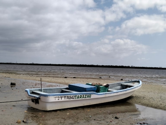 Beachfront plot for sale in Wyoni Lamu measuring 50 x 100 feet with ocean views