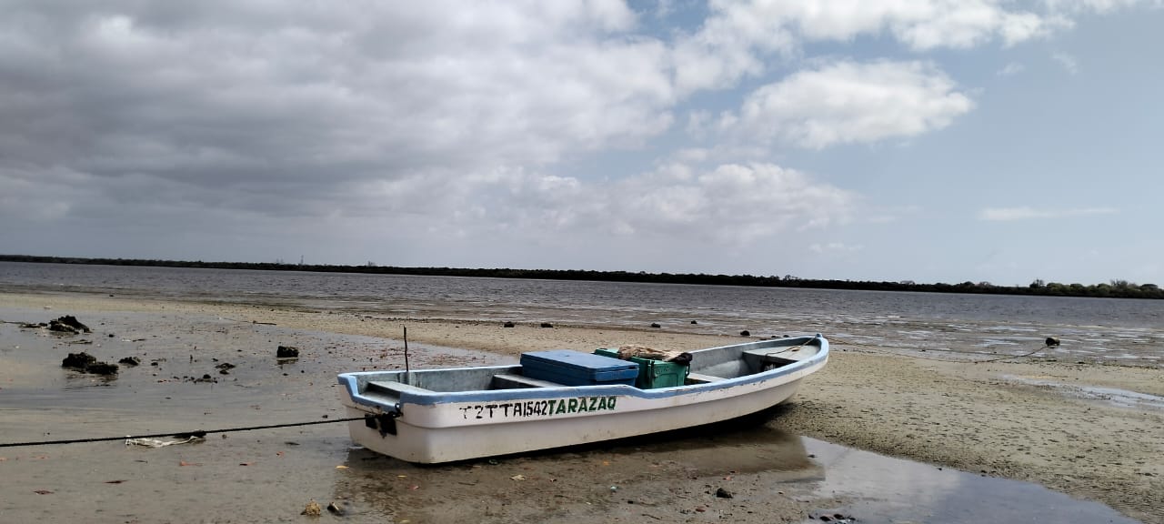 Beachfront plot for sale in Wyoni Lamu measuring 50 x 100 feet with ocean views