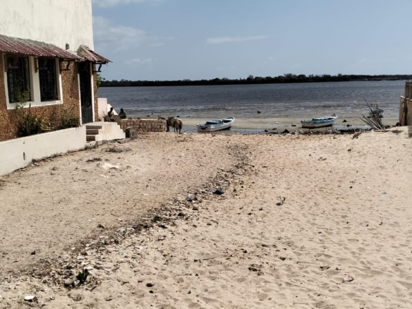 Beachfront plot for sale in Wyoni Lamu measuring 50 x 100 feet with ocean views