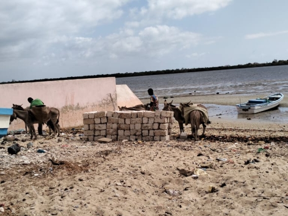 Beachfront plot for sale in Wyoni Lamu measuring 50 x 100 feet with ocean views