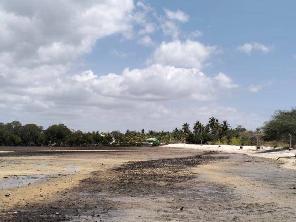 1.9-acre sandy beachfront property for sale in Mtangawanda Bori Lamu next to Bori Hotel, ideal for resort or luxury development.