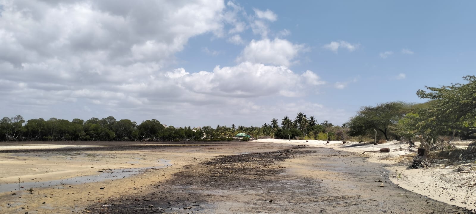 1.9-acre sandy beachfront property for sale in Mtangawanda Bori Lamu next to Bori Hotel, ideal for resort or luxury development.