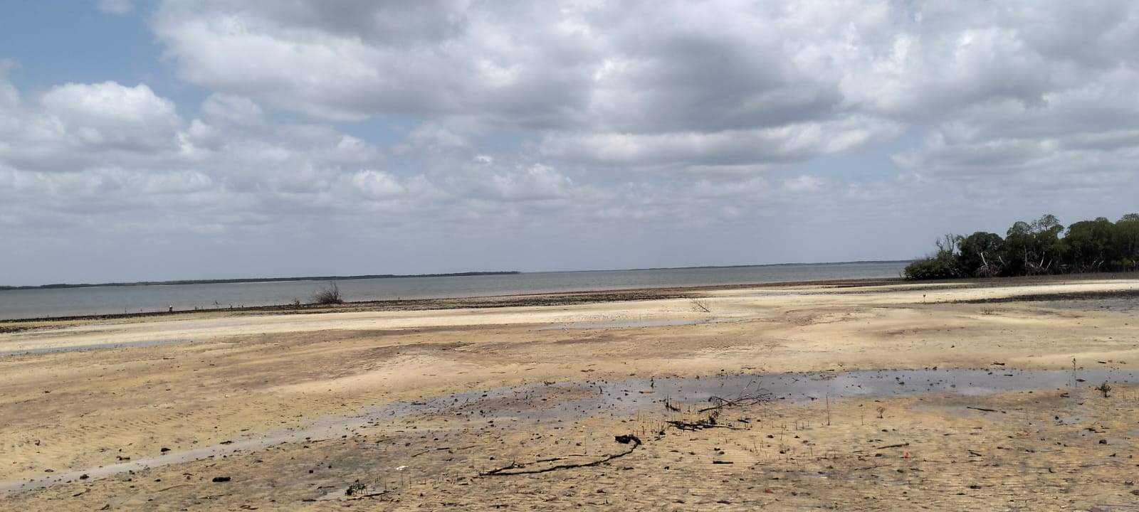 1.9-acre sandy beachfront property for sale in Mtangawanda Bori Lamu next to Bori Hotel, ideal for resort or luxury development.