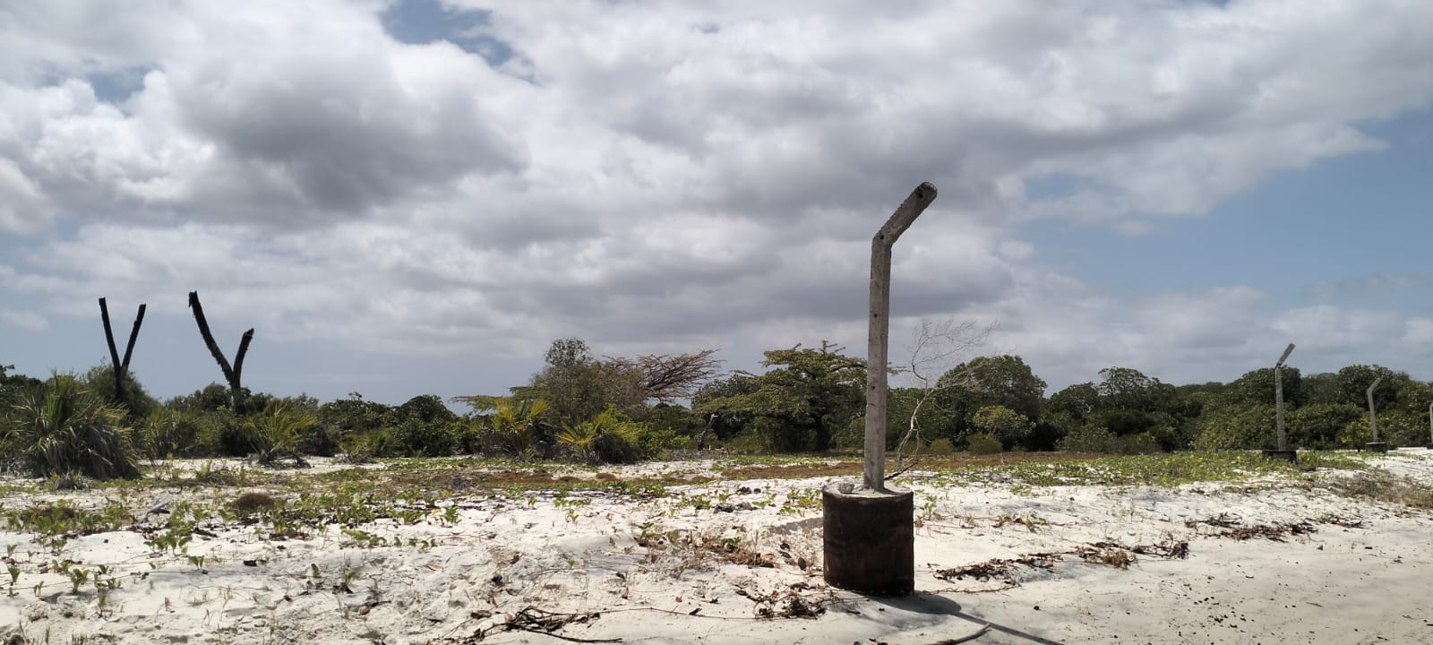 1.9-acre sandy beachfront property for sale in Mtangawanda Bori Lamu next to Bori Hotel, ideal for resort or luxury development.