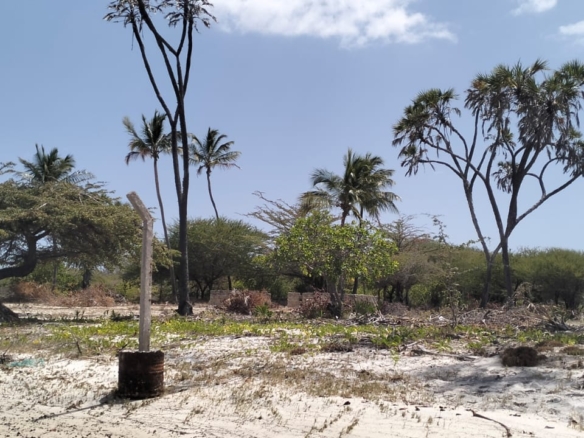 1.9-acre sandy beachfront property for sale in Mtangawanda Bori Lamu next to Bori Hotel, ideal for resort or luxury development.